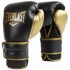 Боксерські рукавиці Everlast POWERLOCK 2R TRAINING GLOVES