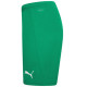 Шорти Puma teamRISE Short
