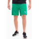 Шорти Puma teamRISE Short