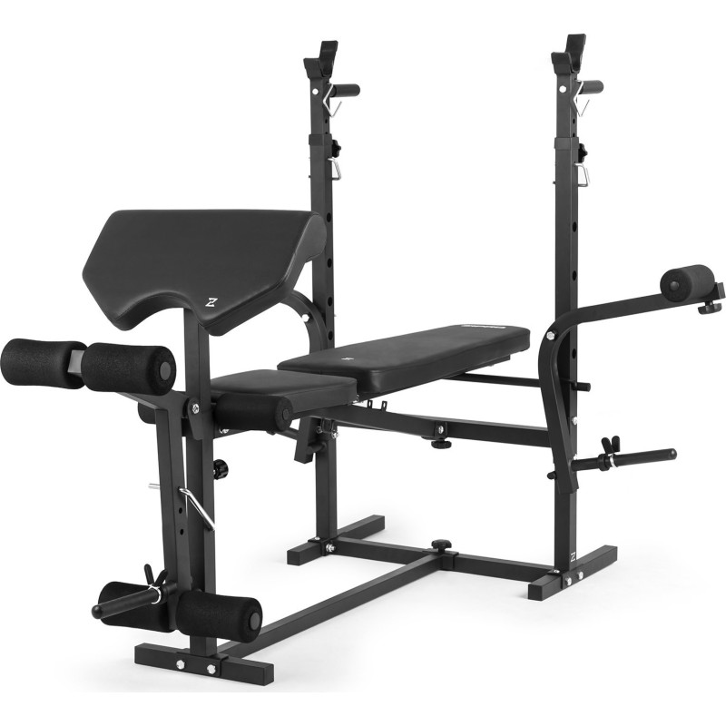 Лава регульована багатофункціональна Zipro Ripped з партою Скотта