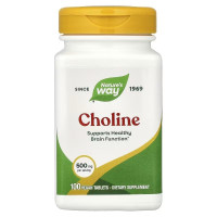 Холін, 500 мг, Choline, Nature's Way, 100 веганських таблеток