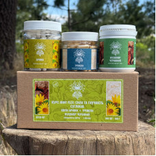 Курс Joint Flex: Сила та гнучкість суглобів (2 місяці), "Лісовик", 360 капсул