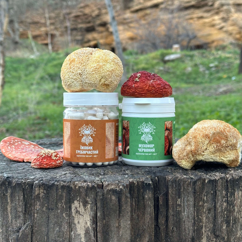 Курс Антистрес: Мухомор та Їжовик (2 місяці), "Лісовик", 240 капсул