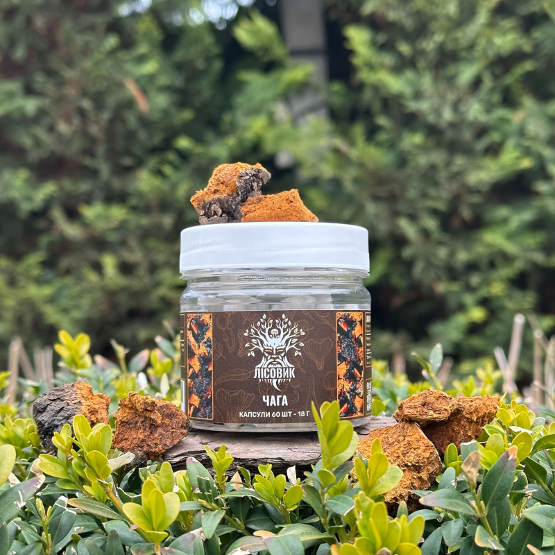 Чага березовая, "Лесовик", 60 капсул по 0.3 г