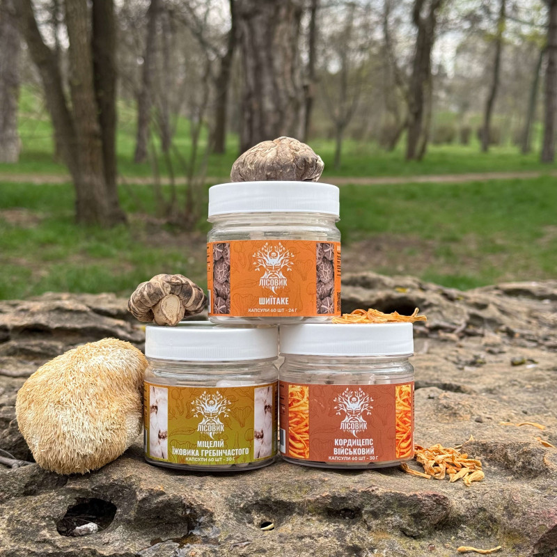 Курс Focus Flow: Концентрація та продуктивність (1 місяць), "Лісовик", 180 капсул