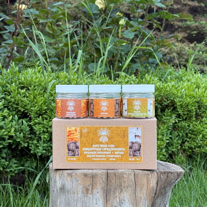 Курс Focus Flow: Концентрація та продуктивність (1 місяць), "Лісовик", 180 капсул