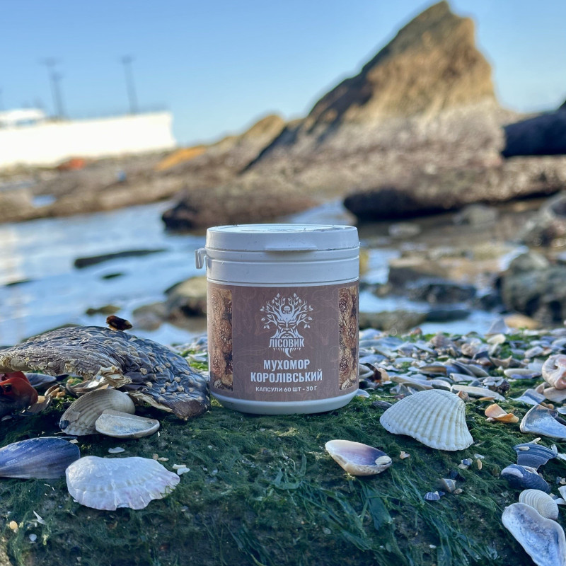 Королевский мухомор, "Лесовик", 60 капсул по 0,5 г