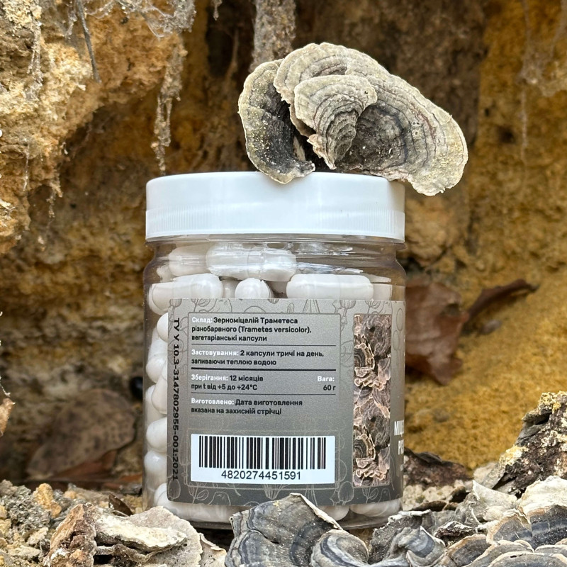 Мицелий Траметеса разноцветного, "Лесовик", 120 капсул по 0.5 г