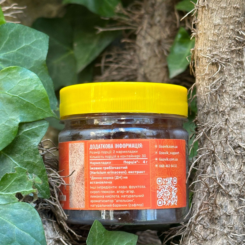 Мармелад з їжовиком гребінчастим зі смаком апельсина, "Лісовик", 60 желейок