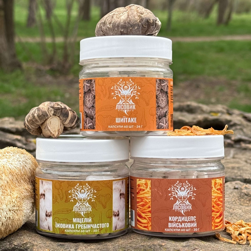 Курс Focus Flow: Концентрація та продуктивність (1 місяць), "Лісовик", 180 капсул