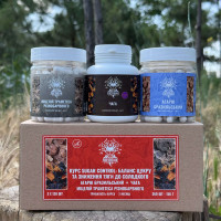 Курс Sugar Control: Баланс сахара и снижение тяги к сладкому (2 месяца), "Лесовик", 360 капсул