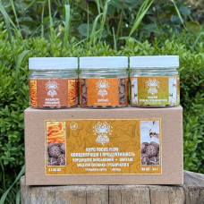 Курс Focus Flow: Концентрація та продуктивність (1 місяць), "Лісовик", 180 капсул