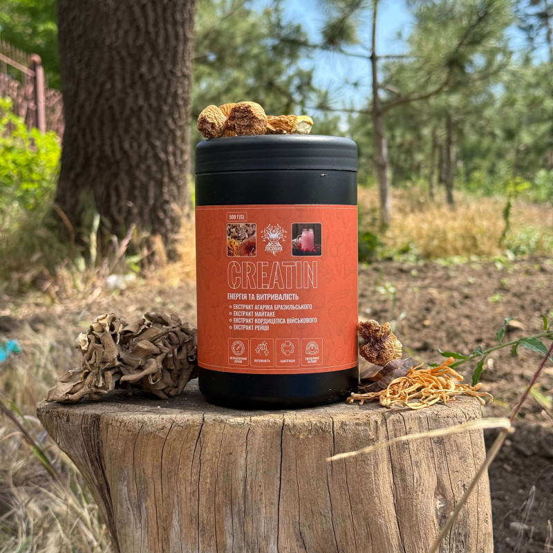 CREATIN коктейль (Энергия и выносливость), "Лесовик", 500 грамм