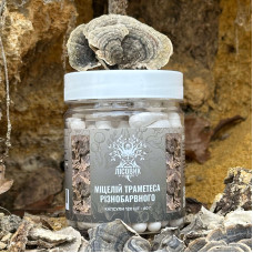 Мицелий Траметеса разноцветного, "Лесовик", 120 капсул по 0.5 г