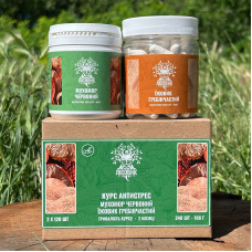 Курс Антистрес: Мухомор та Їжовик (2 місяці), "Лісовик", 240 капсул