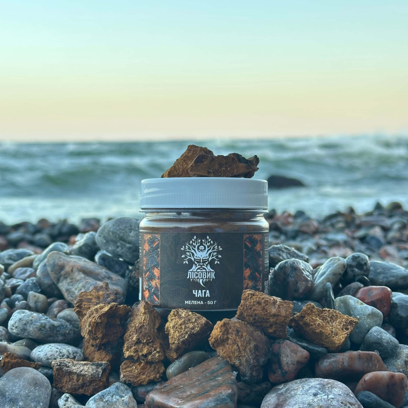 Чага березова, мелена, "Лісовик", 50 грам