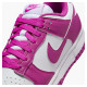 Кросівки жіночі Nike Dunk Low Next Nature (DD1873-110)