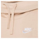 Кофта жіночі Nike Nsw Club Flc (DQ5415-126)