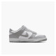 Кросівки жіночі Nike Dunk Low Gs (FB9109-123)