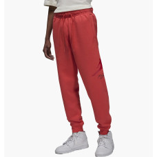 Брюки чоловічі Jordan Essentials (FD7345-604)
