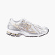 Кросівки чоловічі New Balance M1906 Ri (M1906RI)