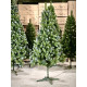 Ялинка із білим напиленням та шишками SNOWY CONE TREE