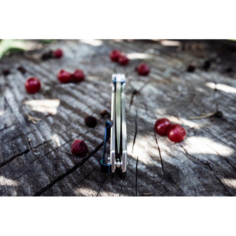 Ніж складаний Ruike P801-SF