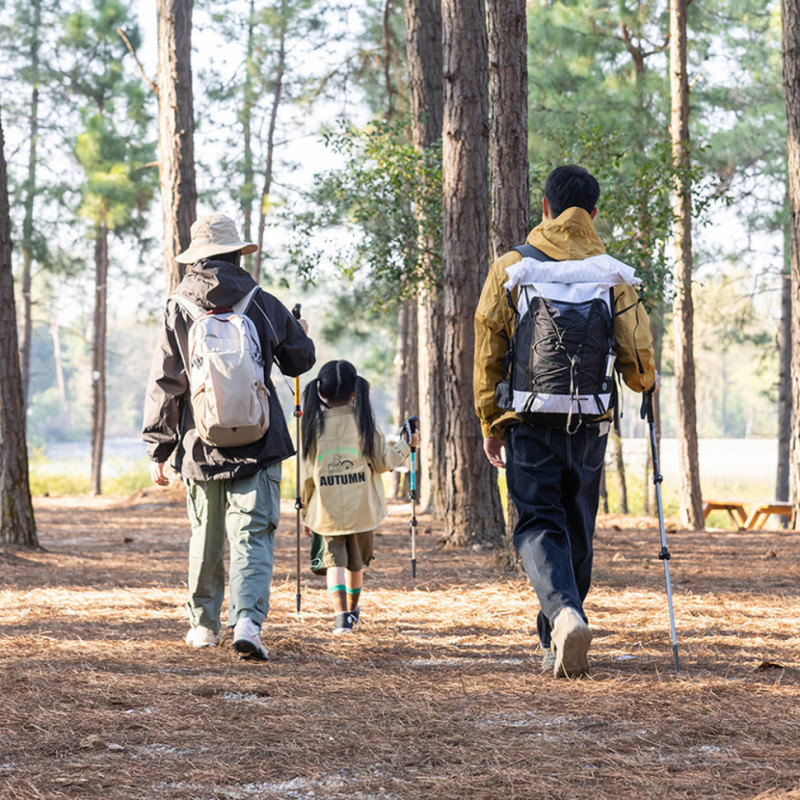 Трекінгова палиця алюмінієва Naturehike Qingxue Base NH17D001-Z, 61–135 см, титановий