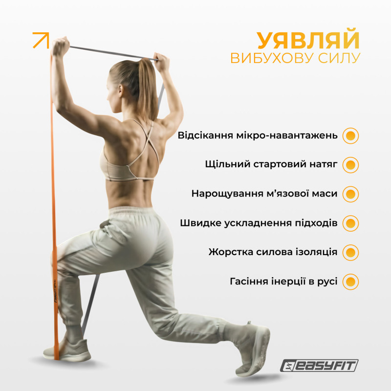 Набор резинок для подтягиваний и спорта EasyFit Premium (3 шт), двухслойные, сопротивление 7-45 кг, сумка для хранения