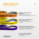 Набор резинок для подтягиваний и спорта EasyFit Premium (3 шт), двухслойные, сопротивление 7-45 кг, сумка для хранения