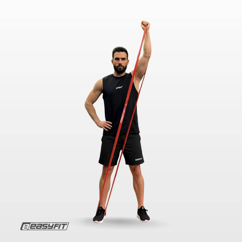 Набор резинок для подтягивания и спорта EasyFit, сопротивление 2-65 кг (4 шт.)