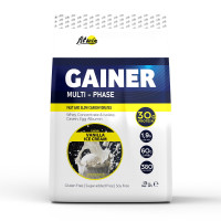 Гейнер, Gainer Multi-Phase, FitWin, 1,5 кг (Ванільне морозиво)