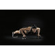 Упори для віджимання Adidas Push Up Bars