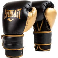 Боксерські рукавиці Everlast POWERLOCK 2R TRAINING GLOVE