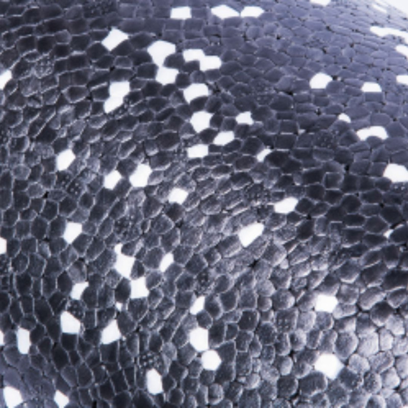 Масажний ролик LivePro EPP FOAM ROLLER