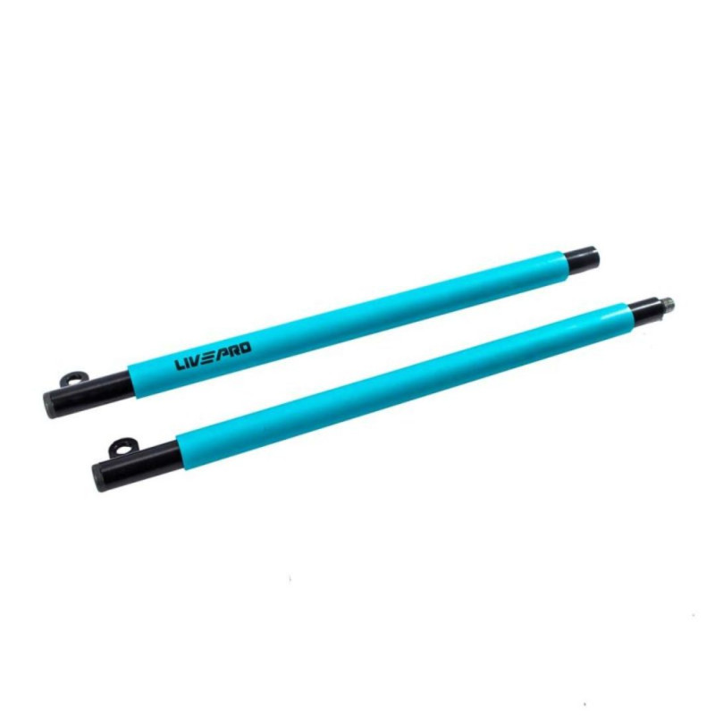 Тренажер для функціонального тренінгу LivePro RESISTANCE BAR SET