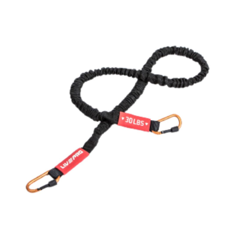 Тренажер для функціонального тренінгу LivePro RESISTANCE BAR SET