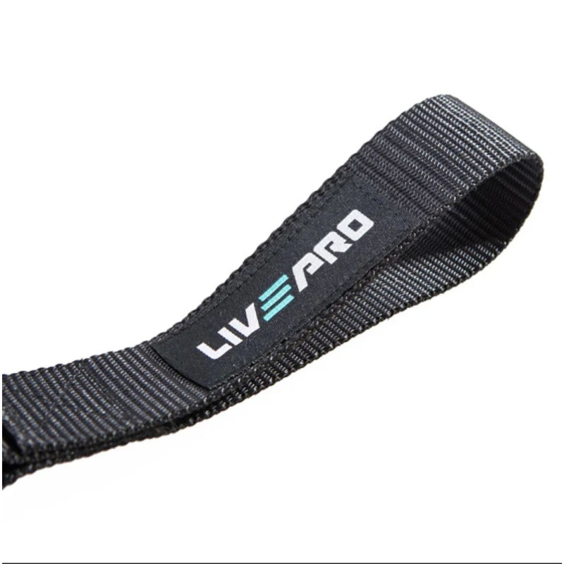 Фіксатор для еспандера LivePro DOOR ANCHOR