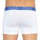 Труси-боксери Puma YD BOLD STRIPE BOXER 2 пари