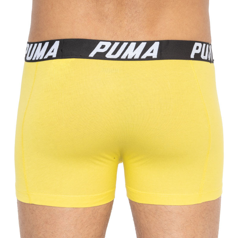 Труси-боксери Puma SPACEDYE STRIPE BOXER 2 пари