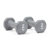 Гантели для фитнеса Reebok Dumbbells, цельнолитые, 2 кг, сталь/винил, серые