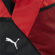 Сумка Puma teamGOAL Teambag 72L