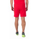 Шорти Puma teamRISE Short