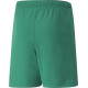Шорти Puma teamRISE Short Jr зелений Діт 164 см
