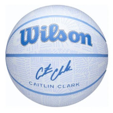 М'яч баскетбольний Wilson CC Envision BSKT