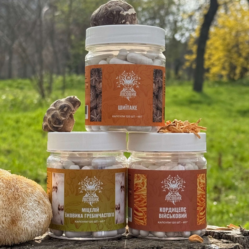 Курс Focus Flow: Концентрація та продуктивність (2 місяці), "Лісовик", 360 капсул