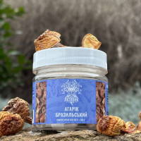 Агарик бразильский, "Лесовик", 60 капсул по 0.5 г