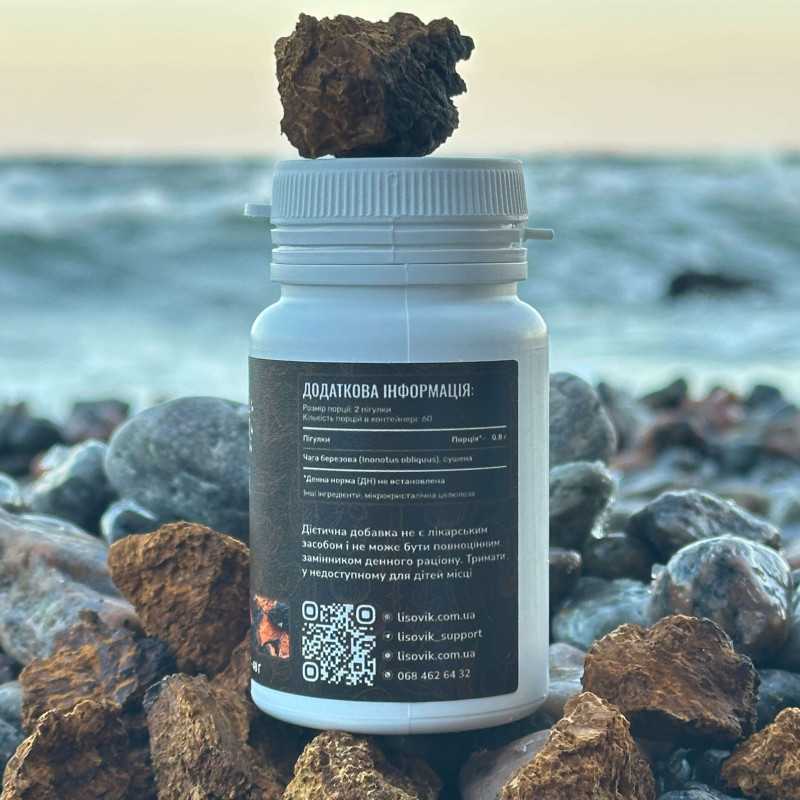 Чага березова, "Лісовик", 120 таблеток по 0.4 г