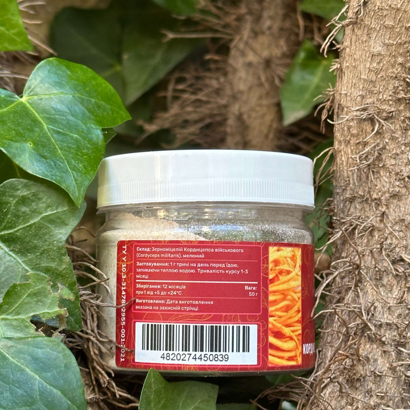 Міцелій кордицепса військового , мелений, "Лісовик", 50 грам