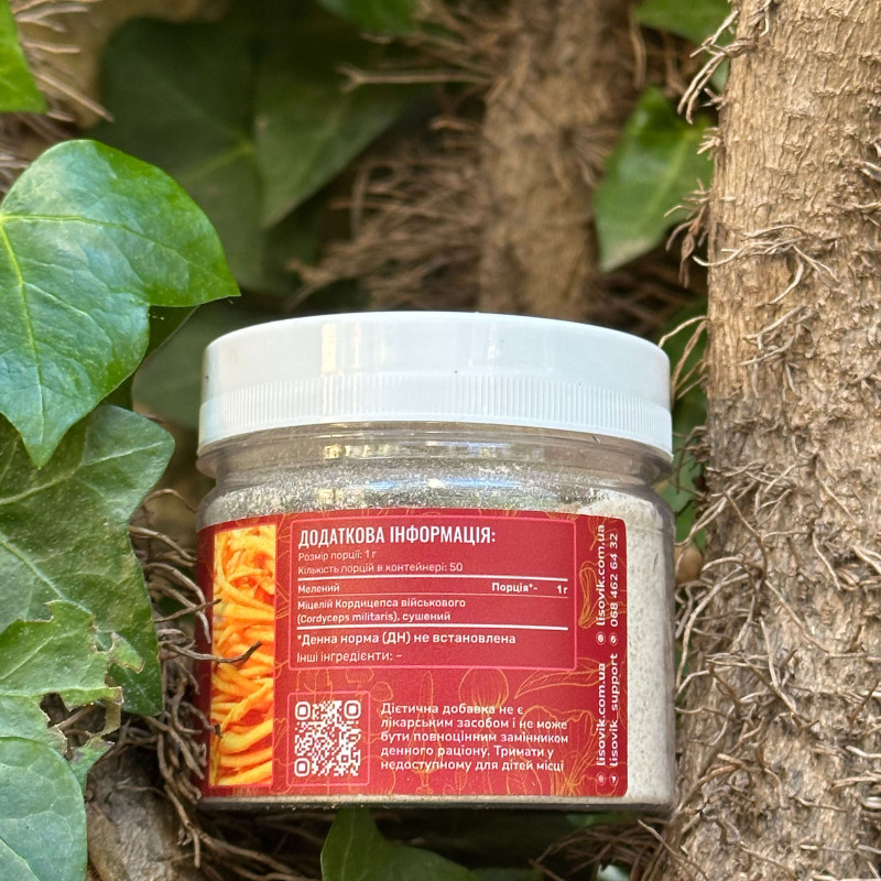 Міцелій кордицепса військового , мелений, "Лісовик", 50 грам